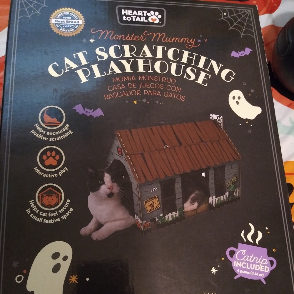 Halloween cat scratching house